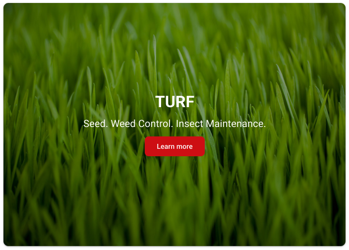 image tile for turf