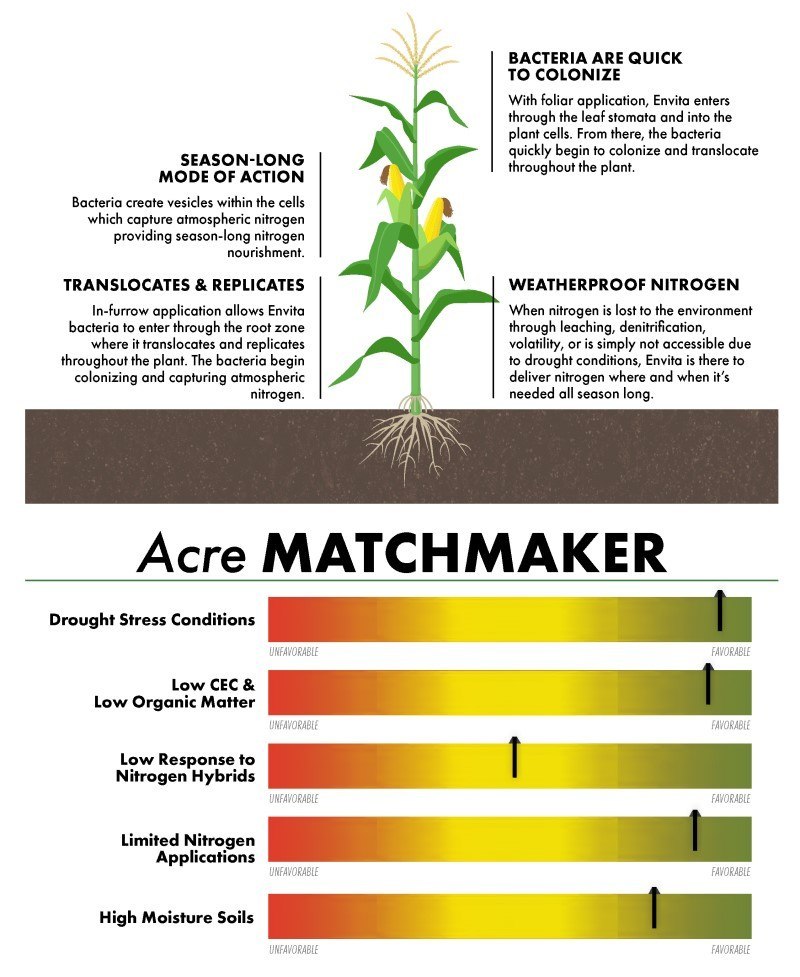 Envita corn acre matchmaker graphic