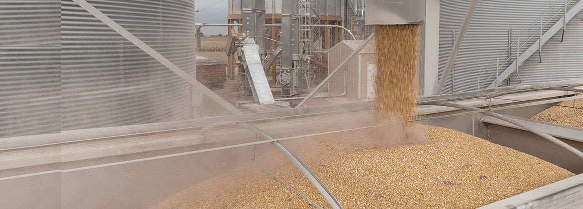 grain