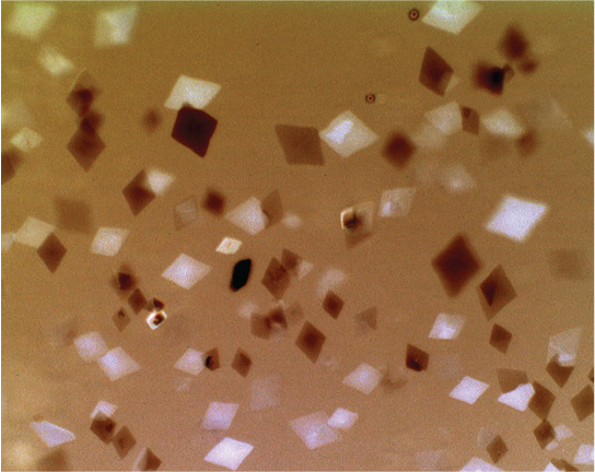 wax_crystals_large
